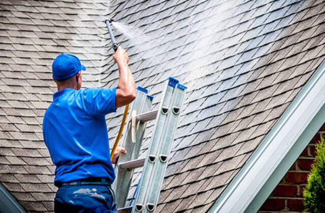 arlington roof cleaning